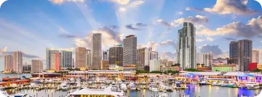 Miami skyline
