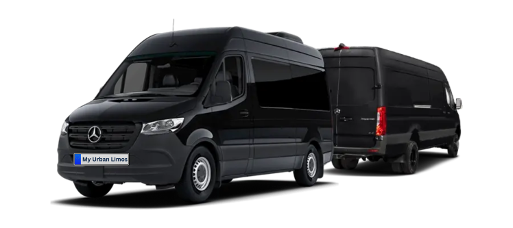 exective sprinter
